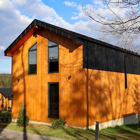 Phoenix Medical Resort Skhidnytsia Ngoại thất bức ảnh
